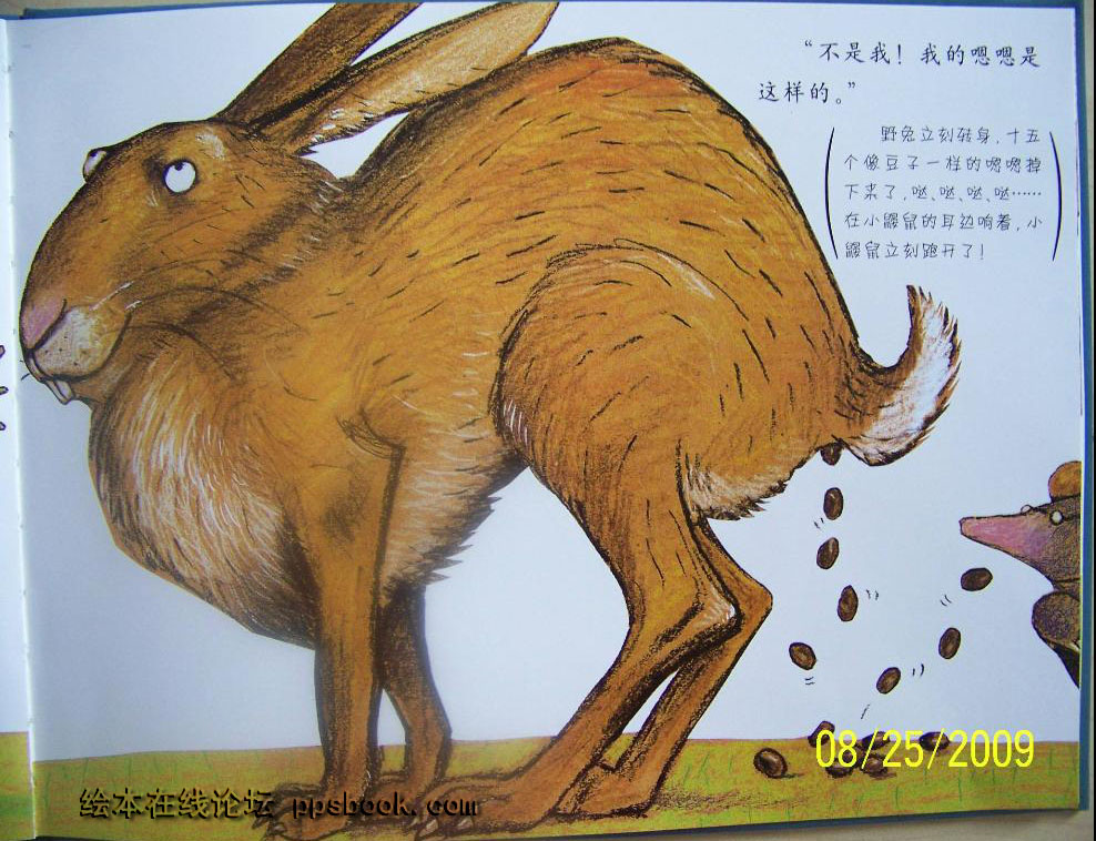 是谁嗯嗯在我头上 (10),绘本,绘本故事,绘本阅读,故事书,童书,图画书,课外阅读